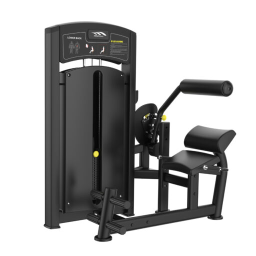 may-tap-lung-duoi-mbh-fitness-am8-009