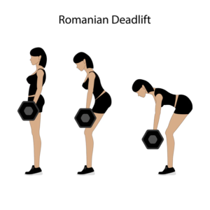 các bài tập chân cho nữ tại phòng gym