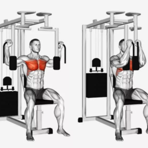 các bài tập giúp ngực to nhanh cho nữ