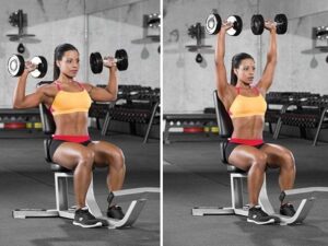 bài tập giảm mỡ lưng vai cho nữ