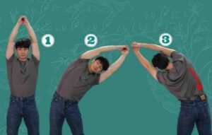 bài tập lưng cho nữ tại nhà
