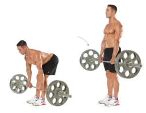 các bài tập mông cho nam gym