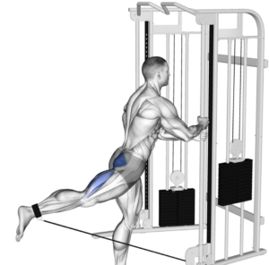 các bài tập mông cho nam gym