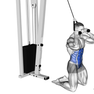 các bài tập bụng cho nam gym