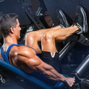 các bài tập chân cho nam tại phòng gym