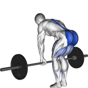 các bài tập chân cho nam tại phòng gym