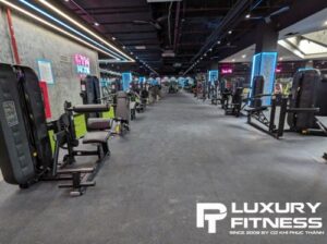 các bài tập mông cho nam với tạ