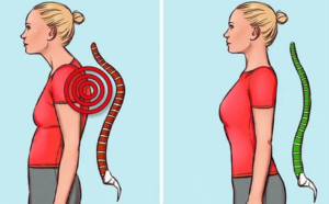 các máy tập bụng ở phòng gym