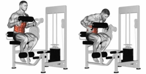 các máy tập bụng ở phòng gym
