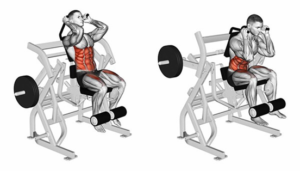 các máy tập bụng ở phòng gym