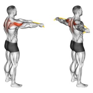 các bài tập lưng xô cho nam