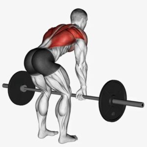 các bài tập lưng xô cho nam