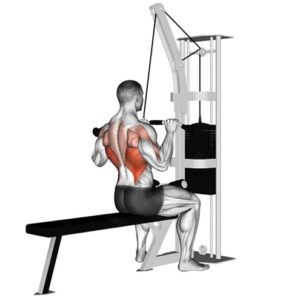 các bài tập lưng xô cho nam