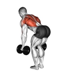 các bài tập lưng xô cho nam