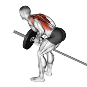 các bài tập lưng xô cho nam