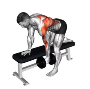 các bài tập lưng xô cho nam