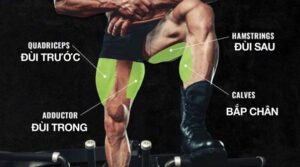 các bài tập chân mông cho nam