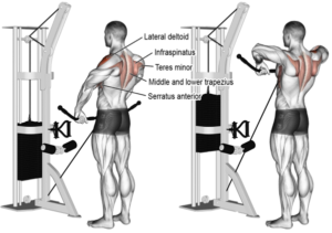 các bài tập gym vai cho nam