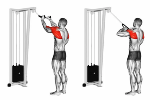 các bài tập gym vai cho nam