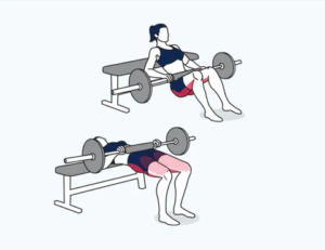 các bài tập bụng dưới cho nữ