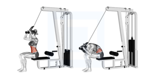 các bài tập bụng trên cho nữ