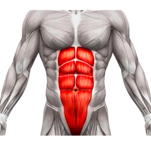 bài tập bụng dưới nam