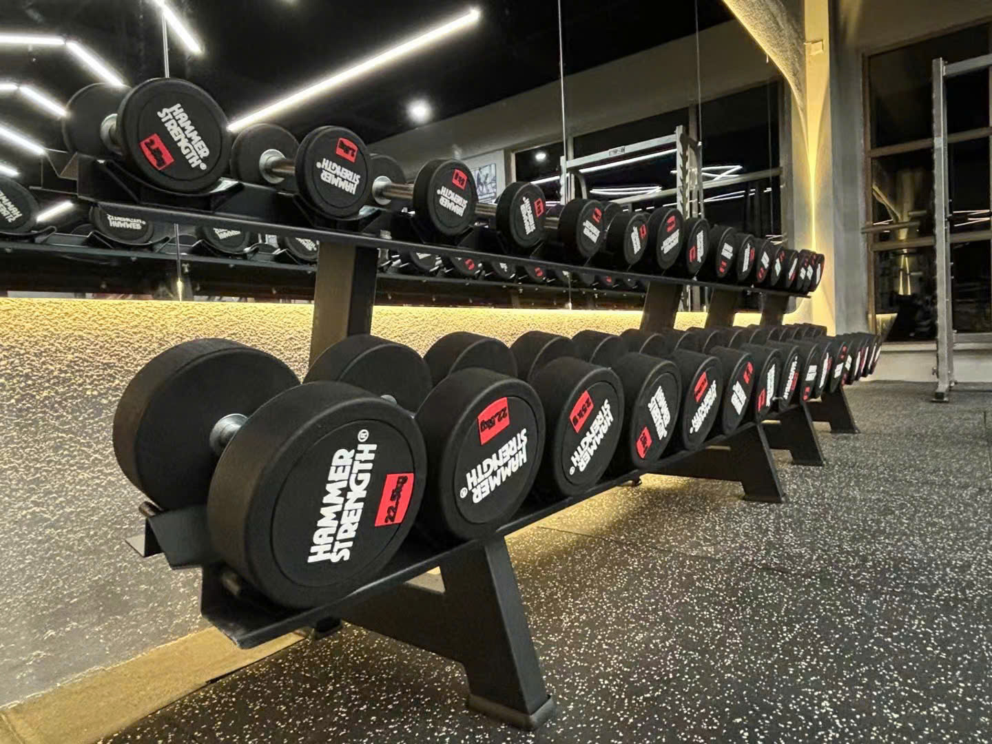 tạ tay Hammer Strenght