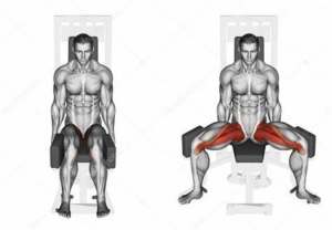 tập chân với máy