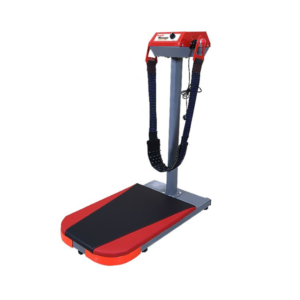 máy rung bụng phòng gym