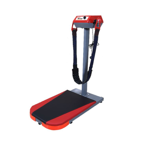 Giới thiệu về máy rung bụng phòng gym