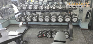 hi-gym-and-fitness