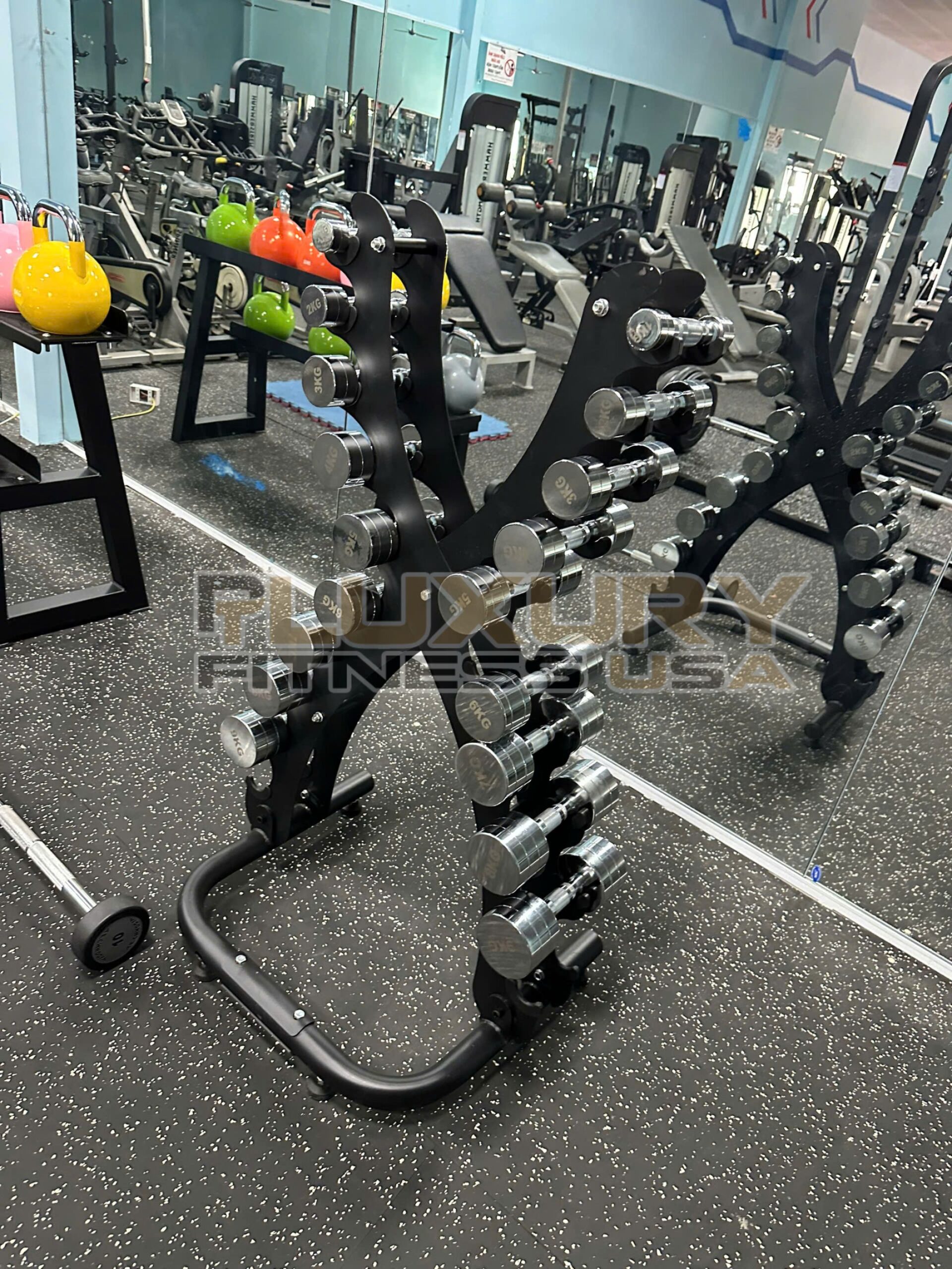 Giá Để Tạ Tay PT Lux 01 - Ảnh 2
