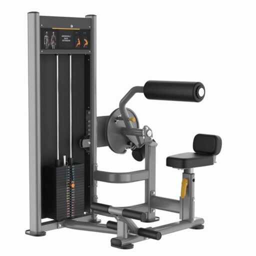 Máy Tập Lưng, Bụng Insight BA009