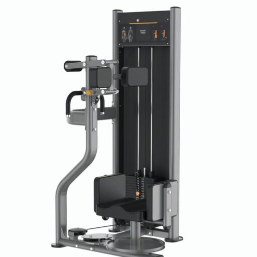 Máy Tập Xoay Eo Insight BA010