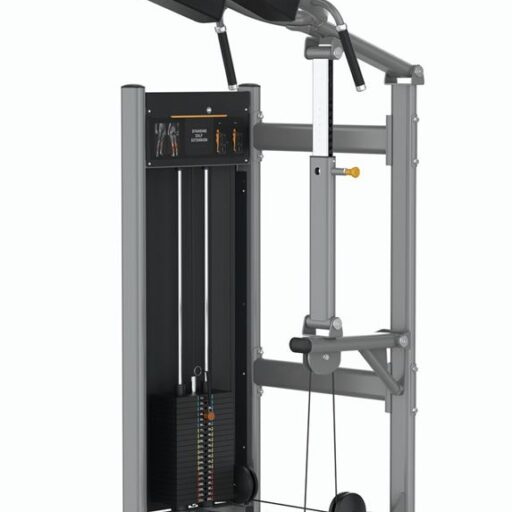 Máy Tập Chân Sau Insight BA019