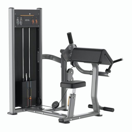 Máy Tập Tay Trước, Sau Insight BA044