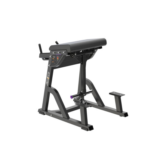 Máy Tập Reverse Hyper Insight Fitness PB407