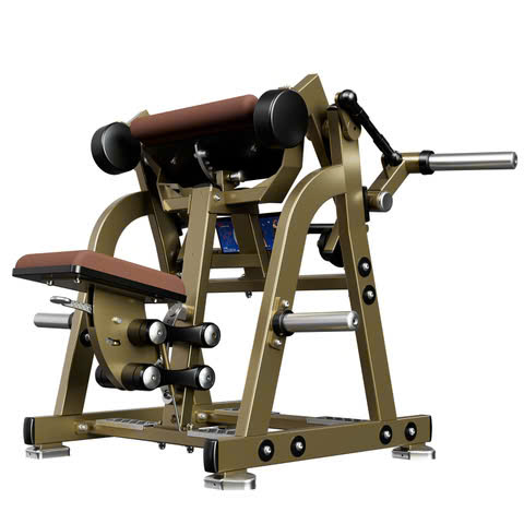 Máy Tập Tay Trước LD-1005