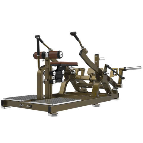 Máy Tập Tay Sau LD-1016