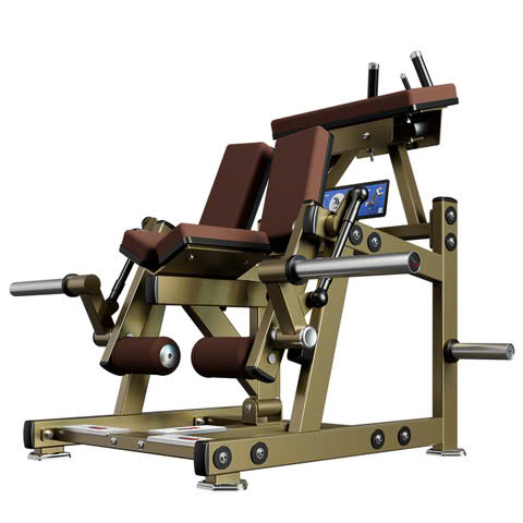 Máy Tập Kneeling Lwg Curl LD-2002