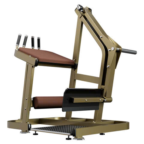 Máy Tập Mông LD-2008