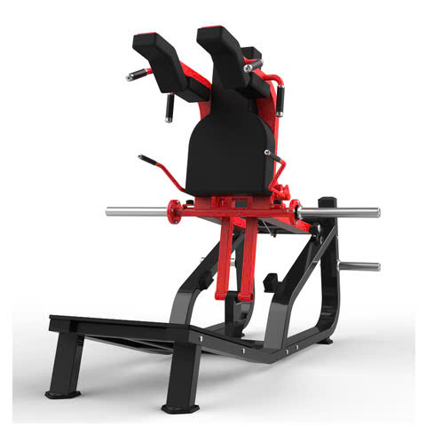 Bothway Squats RS-1035