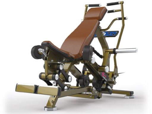 Máy Tập Overhead Triceps Machine LD-1019