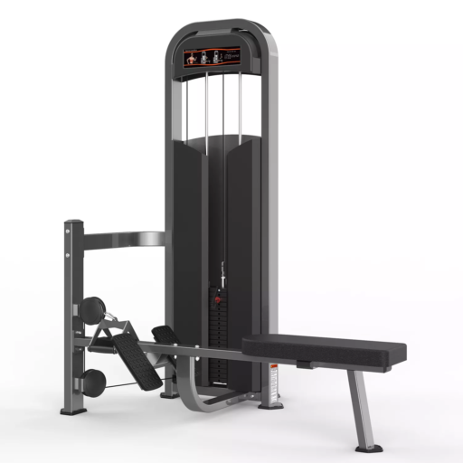 Máy Tập Low Row M2-1018