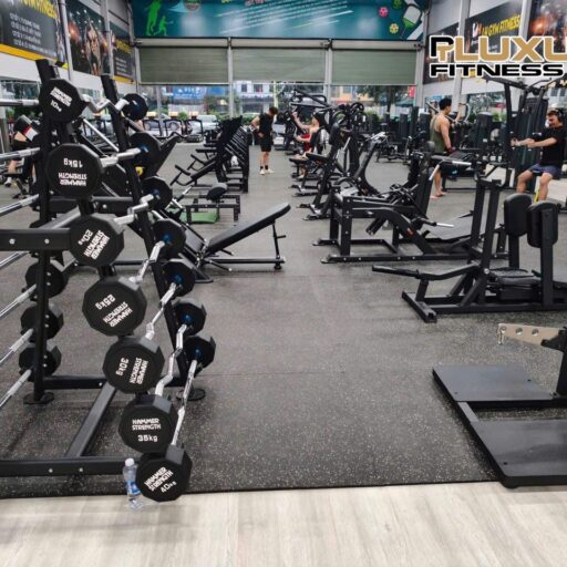 Tạ liền đòn Hammer Strength Chữ Trắng Cao Cấp